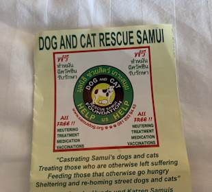 Dog and Cat Rescue Samui Foundation