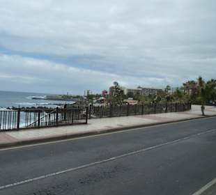 Sicht aus dem Park auf Meer