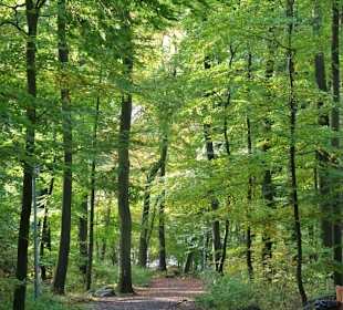 Impressionen aus dem Kurpark Bad Iburg