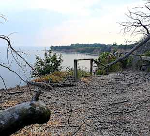 Apollo Tagestour zur Greifswalder Oie 