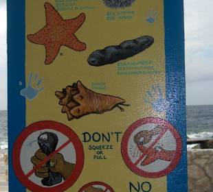 Schild des "Touch-It"-Beckens