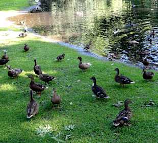 Impressionen aus dem Oslebshauser Park
