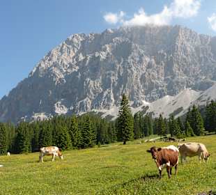 Almidylle am Wettersteinmassiv (Zugspitze)