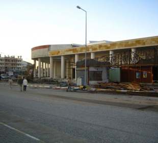 Das Ende vom Schlukspecht