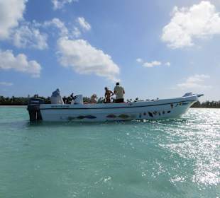 Ankern bei den Seesternen