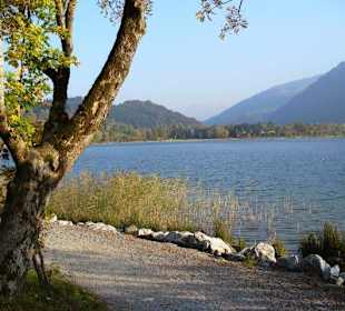 Wanderweg am großen Alpsee