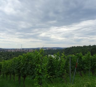 Im und ums Tapachtal