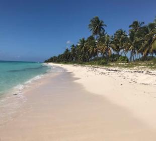 Strand auf Saona, Besuch mit Angie Tours