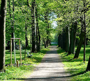 Allee im Park