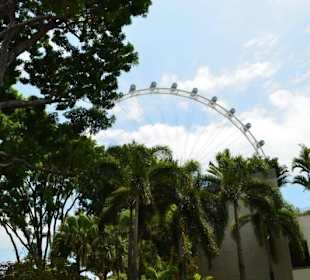 Singapore Flyer