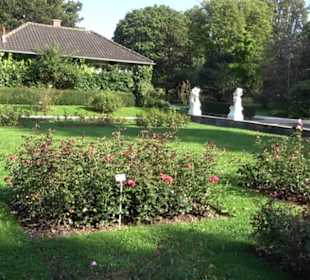 Rosengarten Botanischer Garten