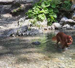 Wandern Balderschwang