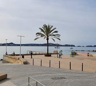 Strand Paguera/Peguera
