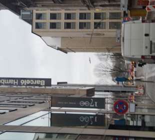 Der Hamburger Jungfernstieg
