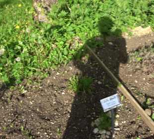 Kurgarten Erpfingen