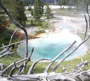 West Thumb Geyser Basin, Yellowstone Lake,