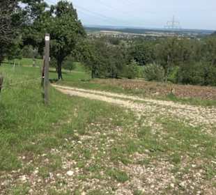 Premiumspazierweg Früchtetrauf-Leisawegle