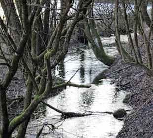 Der gewundene Lauf der Krassach im Bärental