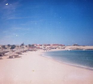 Schnorcheln in Sharm El Naga