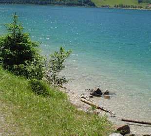 Seeufer Achensee...