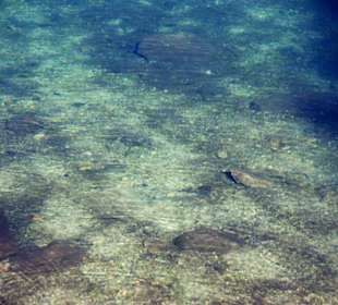 Glasklares Wasser