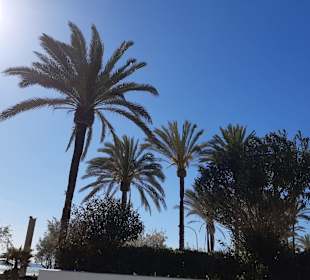 Strandpromenade Playa/Platja de Palma