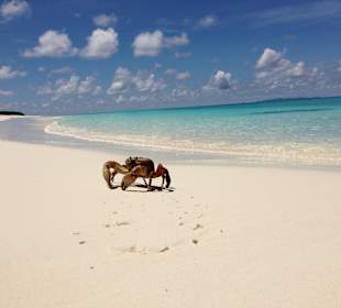 Koh Tachai Island