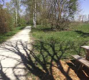 Sport- und Freizeitpark Markwasen