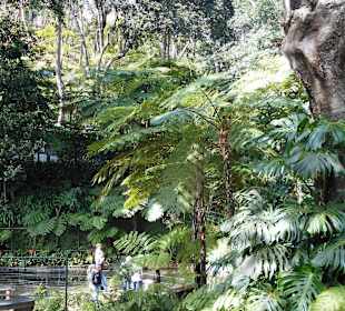 Monte Palace Tropical Garden
