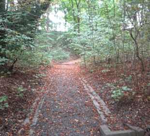 Chapuis Park