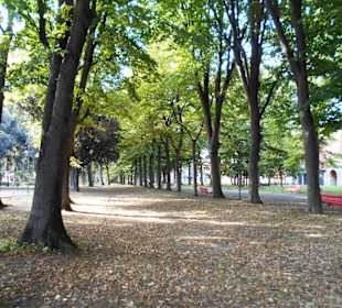 Giardini della Biennale