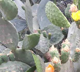 Burg von Alanya (Ic Kale)