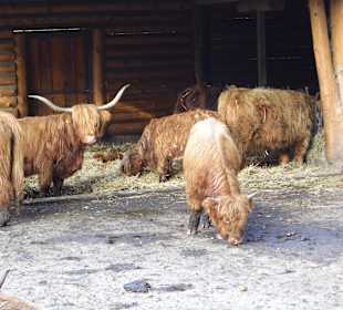 Wildparkimpressionen