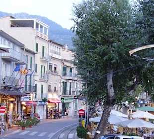 Bar Albatros, Port de Soller