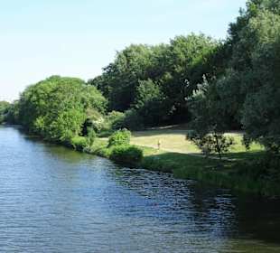 Eindrücke vom Werdersee im Frühling
