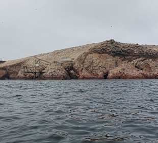 Ausflug Ballestas Inseln