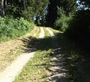 Ameisenlehrpfad Holzelfingen