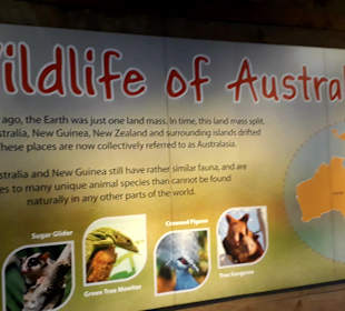 Singapur Zoo