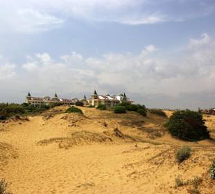 Gündogdu auf den Dünen oben