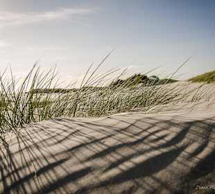 Dünenlandschaft