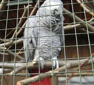 Zoo Erfurt
