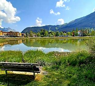Wildsee