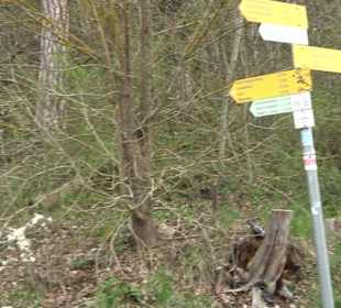 Wanderung rund um das Rusenschloss Gerhausen