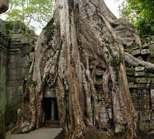 Angkor chramy