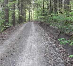 Walderlebnisweg Rottenburg