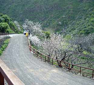 Nach rechts unten geht es zum Wanderweg-Parkplatz