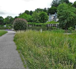 Spaziergang durch den Rosengarten Coburg
