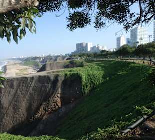 Blick vom Park zur Stadt
