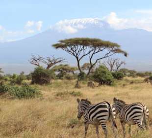 Amboseli - Kilimandscharo