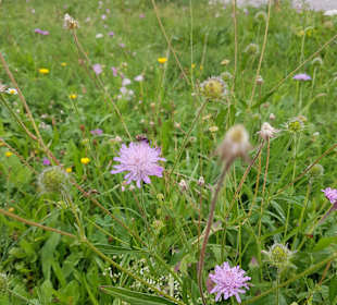 Wandern Haibach (Niederbayern)
